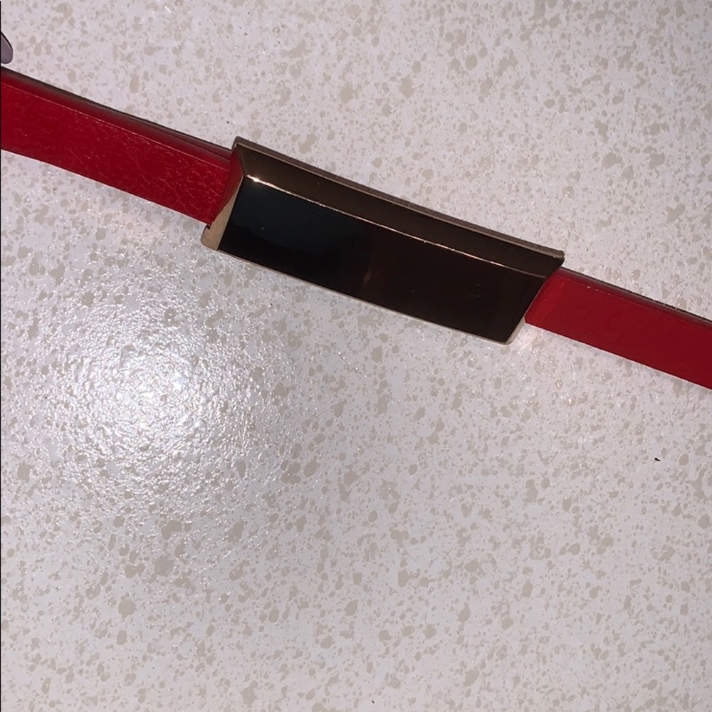 Red Belt - Picture 4 of 4
